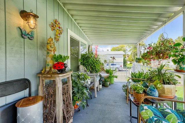 a dining room filled with furniture and a potted plant