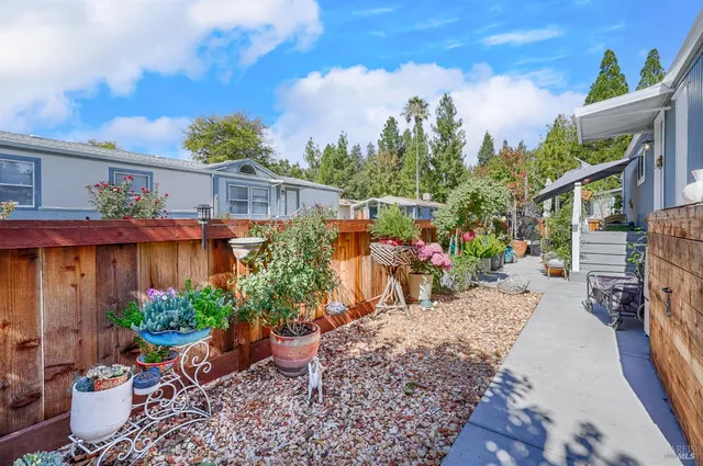a view of a backyard with plants and a patio
