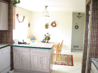12331 Jackman Road Ida, MI 48140 - Photo 6 of 12 Kitchen