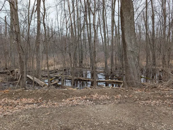 $382,500 | 1610 Mull Road, Tipton, MI 49287