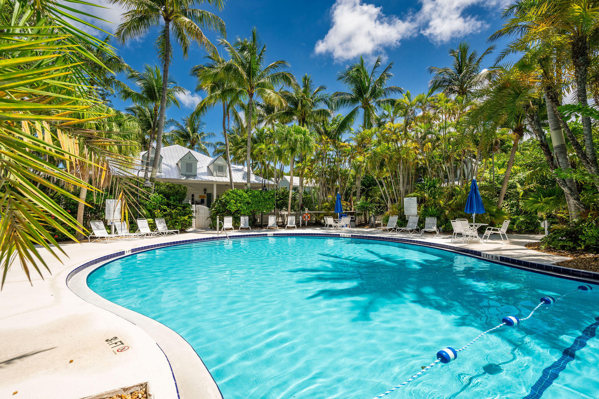 1 Spoonbill Way Key West, FL 33040 - Photo 34 of 38 a view of a swimming pool with a lawn chairs under palm trees