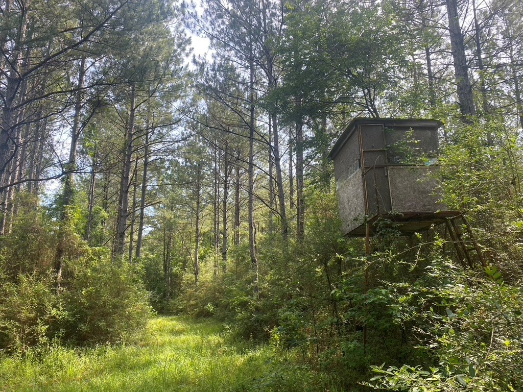 575 Jayess Road Jayess, MS 39641 - Photo 11 of 38 Photo 11
