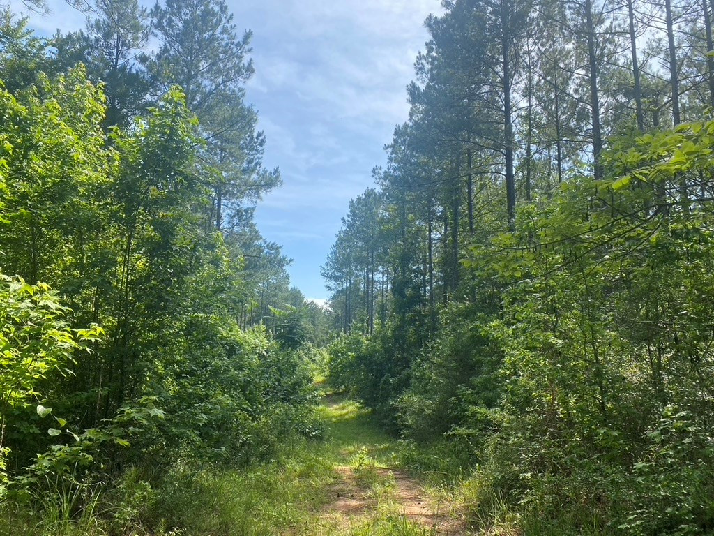 575 Jayess Road Jayess, MS 39641 - Photo 14 of 38 Photo 14