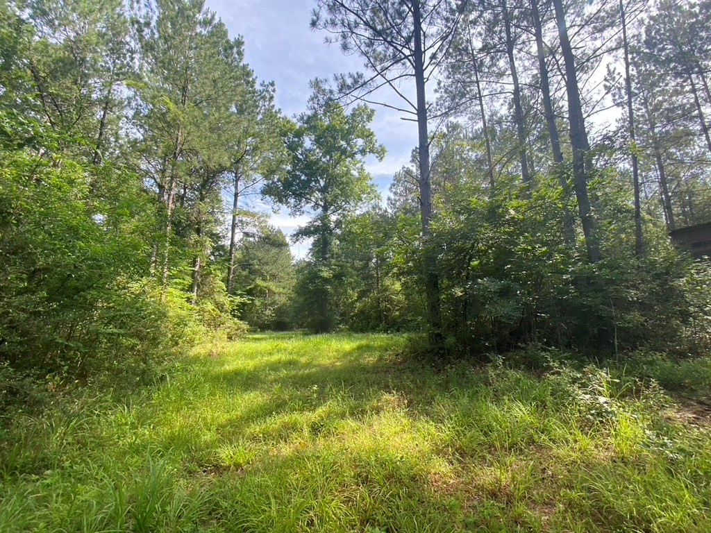 575 Jayess Road Jayess, MS 39641 - Photo 16 of 38 Photo 16