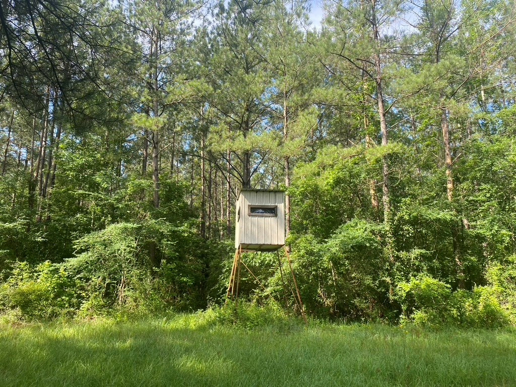 575 Jayess Road Jayess, MS 39641 - Photo 9 of 38 Photo 9