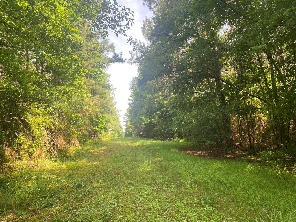 575 Jayess Road Jayess, MS 39641 - Photo 10 of 38 Photo 10