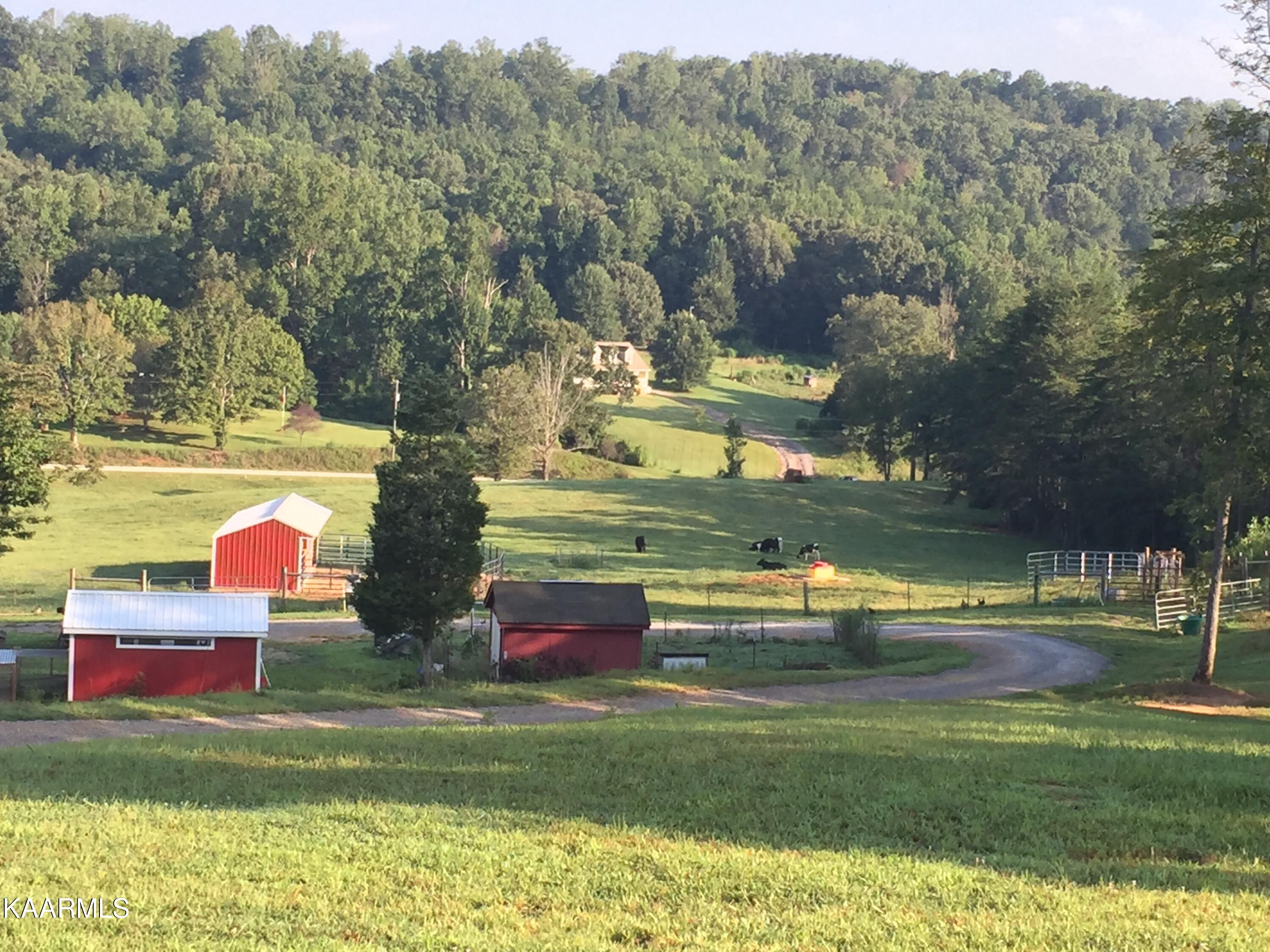 606 Bethlehem Road Madisonville, TN 37354 - Photo 37 of 60 Ext View North From Front Porch