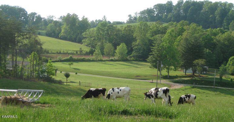 606 Bethlehem Road Madisonville, TN 37354 - Photo 38 of 60 Front Pasture