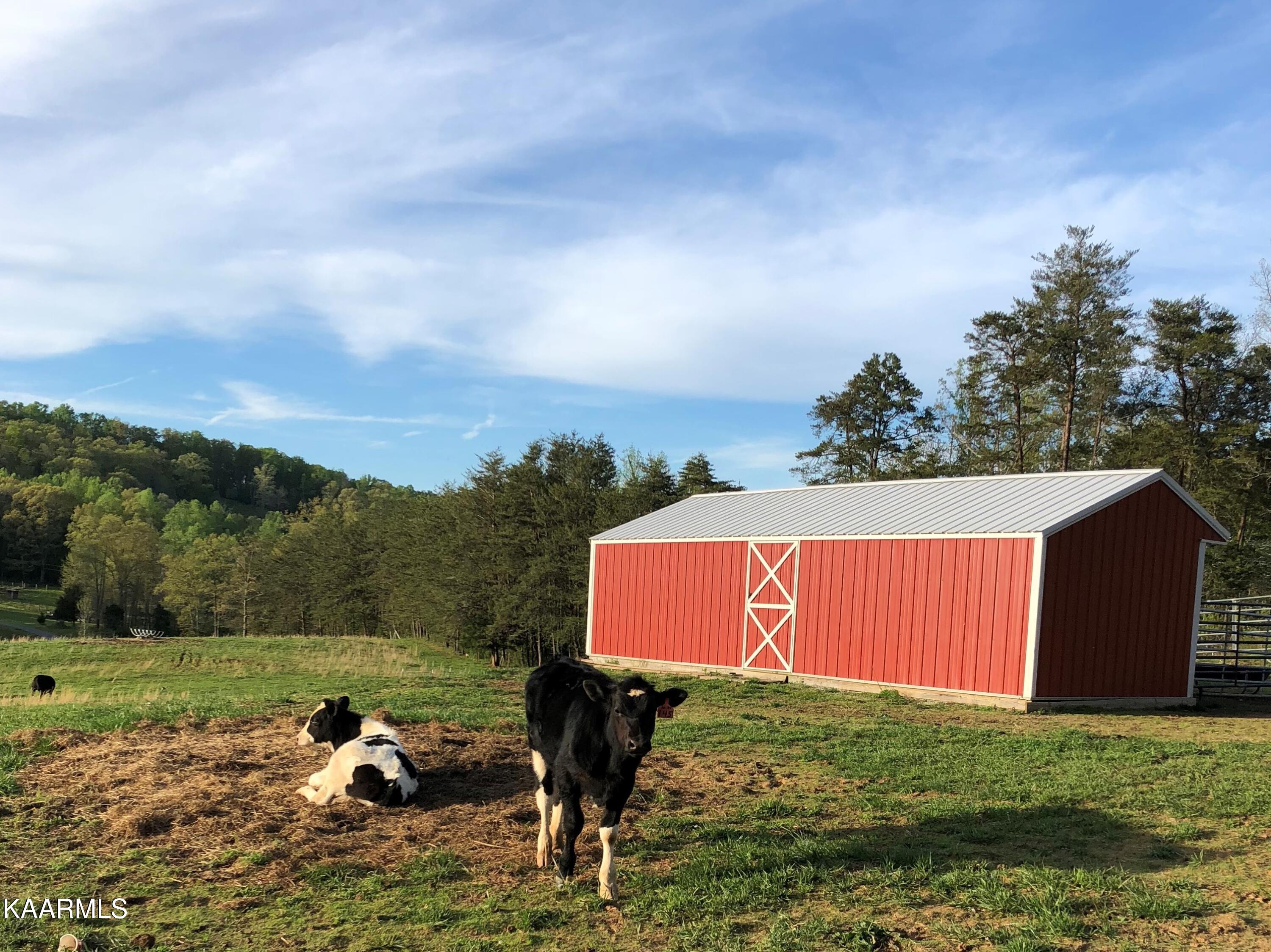 606 Bethlehem Road Madisonville, TN 37354 - Photo 39 of 60 Run In Shed Back