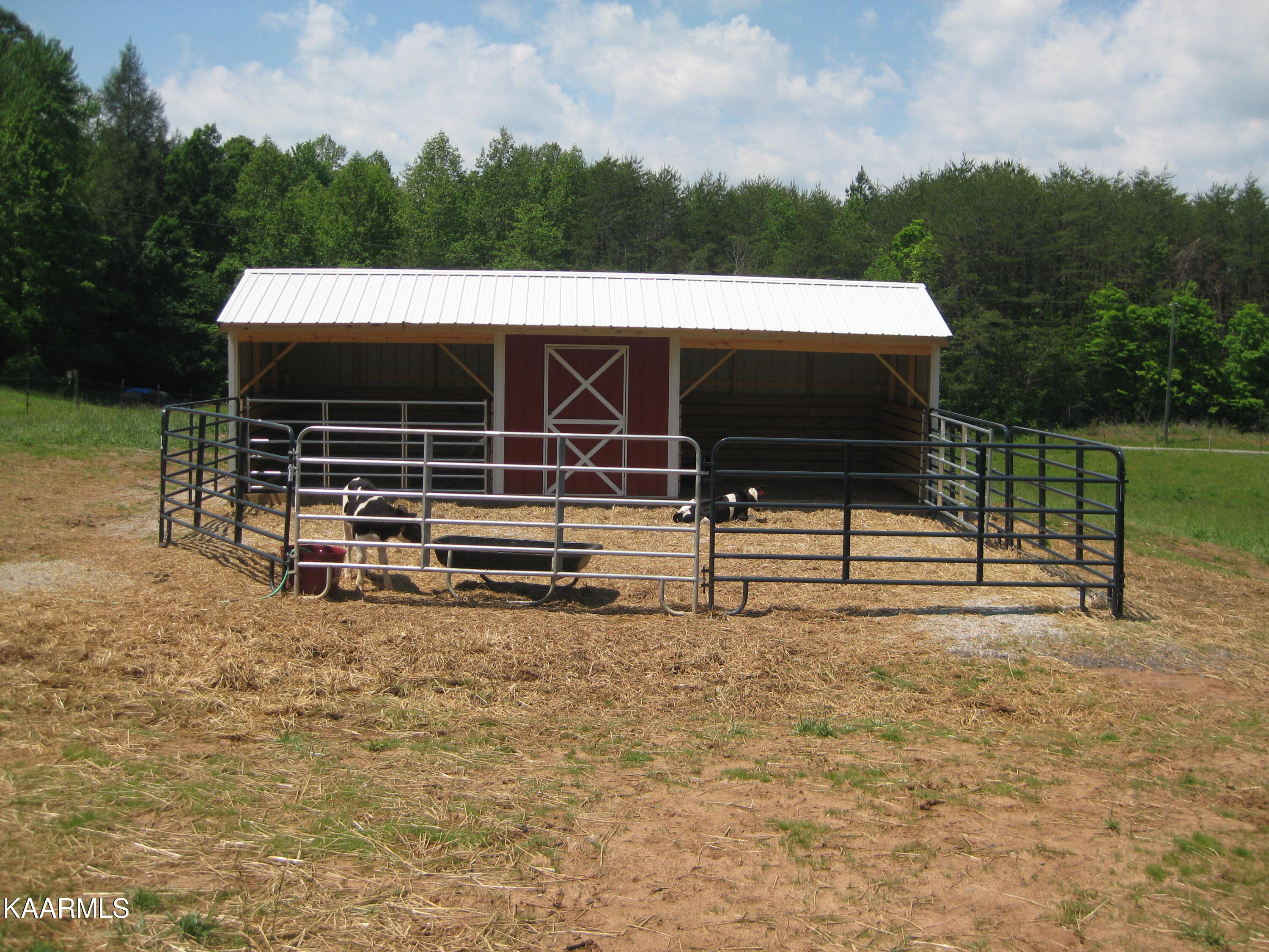 606 Bethlehem Road Madisonville, TN 37354 - Photo 40 of 60 Run In Shed Front Corral