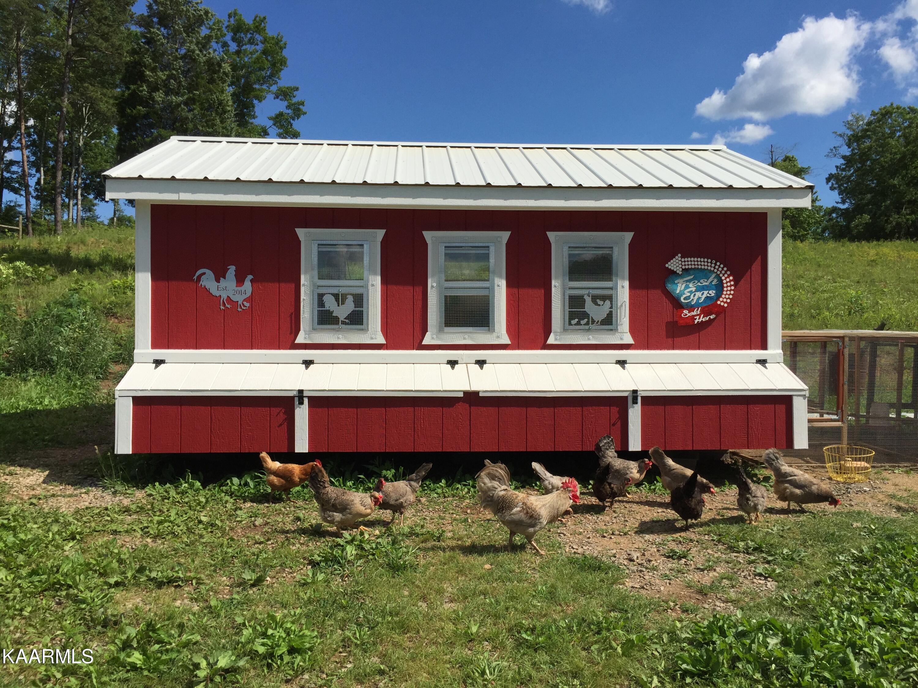 606 Bethlehem Road Madisonville, TN 37354 - Photo 41 of 60 Hen House