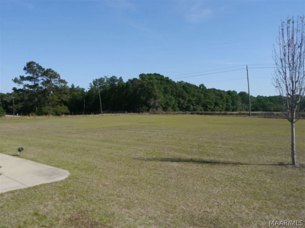 2754 Wicksburg Road Newton, AL 36352 - Photo 32 of 36 Gallery Image 32