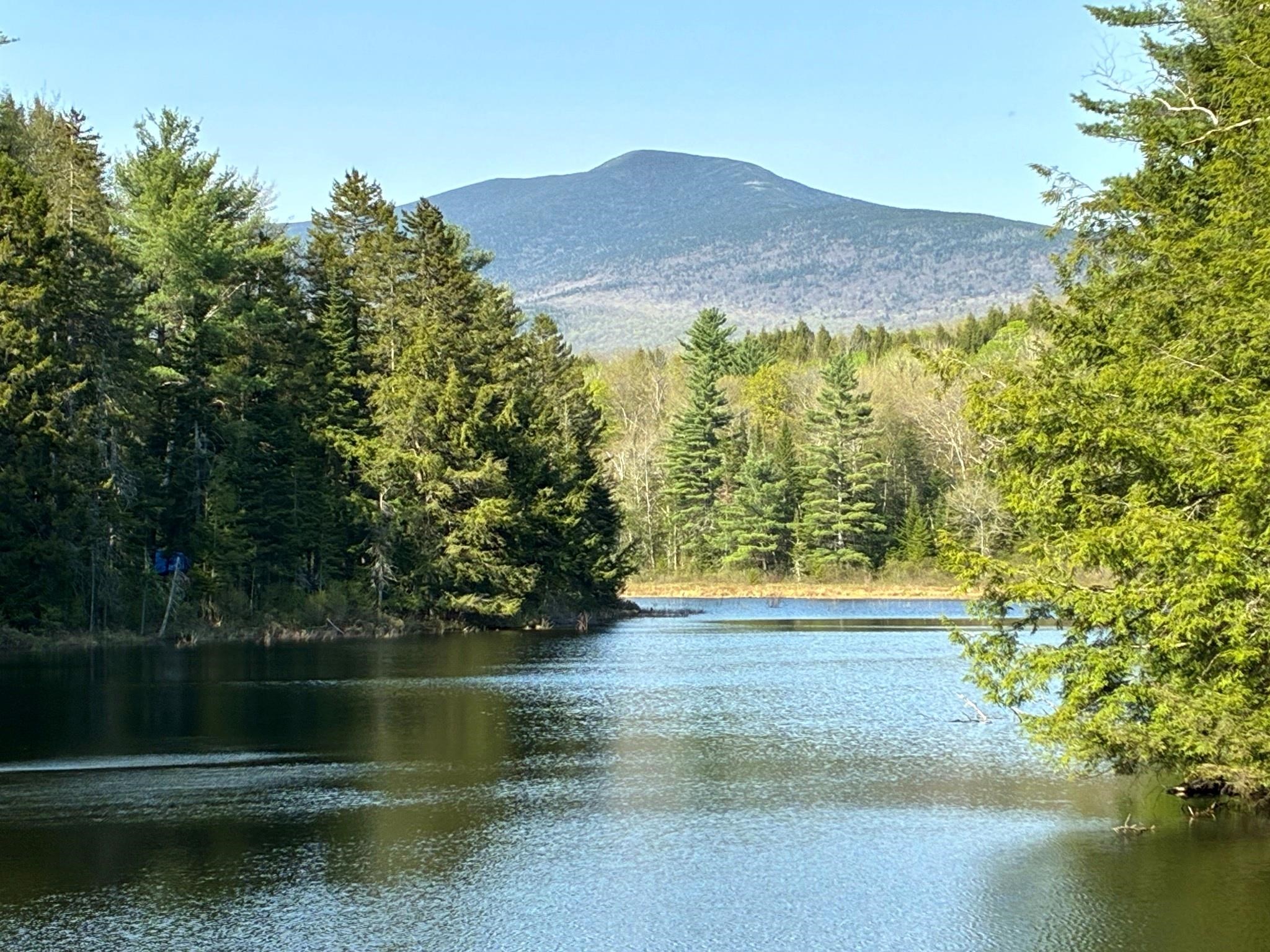 187 Gould Hill Road Warren, NH 03279 - Photo 4 of 13 Gallery Image 4