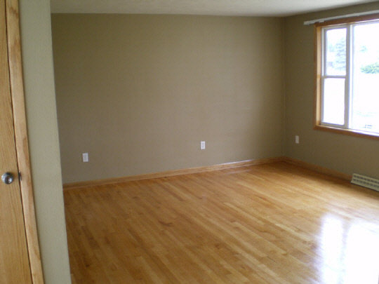 6838 Tipple Road Rockford, IL 61102 - Photo 4 of 6 an empty room with windows
