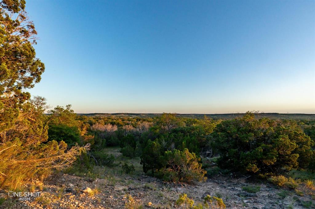 280 County Road 280 Tuscola, TX 79562 - Photo 15 of 18 View of nature at dusk