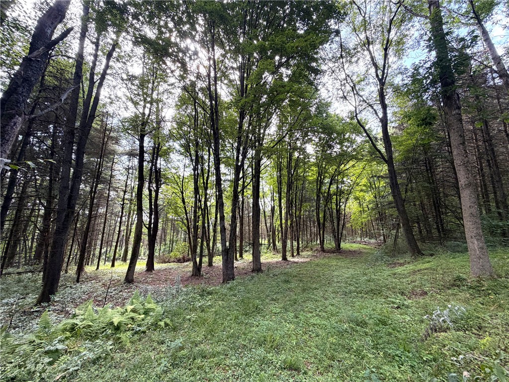 2 Dutton Loop Cuba, NY 14727 - Photo 3 of 16 Gallery Image 3