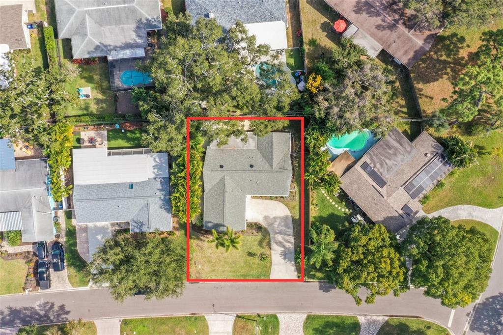 2319 Middlecoff Drive Dunedin, FL 34698 - Photo 50 of 51