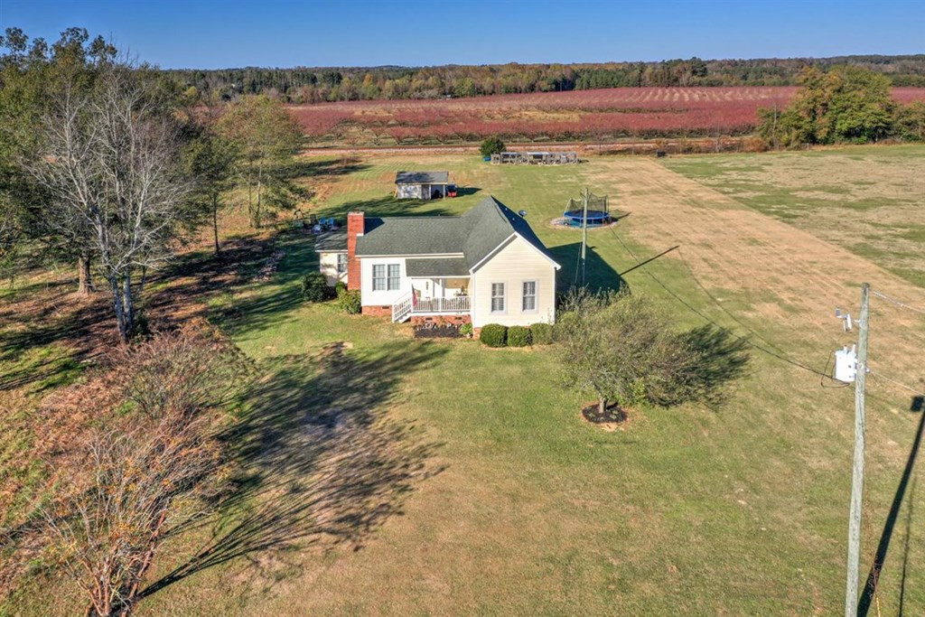 229 Early Sims Road Ridge Spring, SC 29129 - Photo 4 of 41