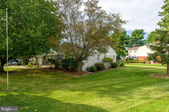 a view of a park with large trees