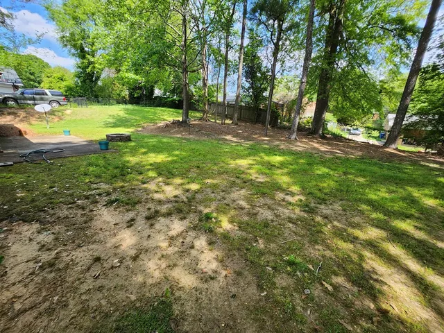 a view of a tree in a yard
