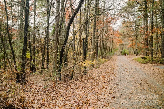 $425,000 | 107 Sugar Mill Woods Drive, Zirconia, NC 28790