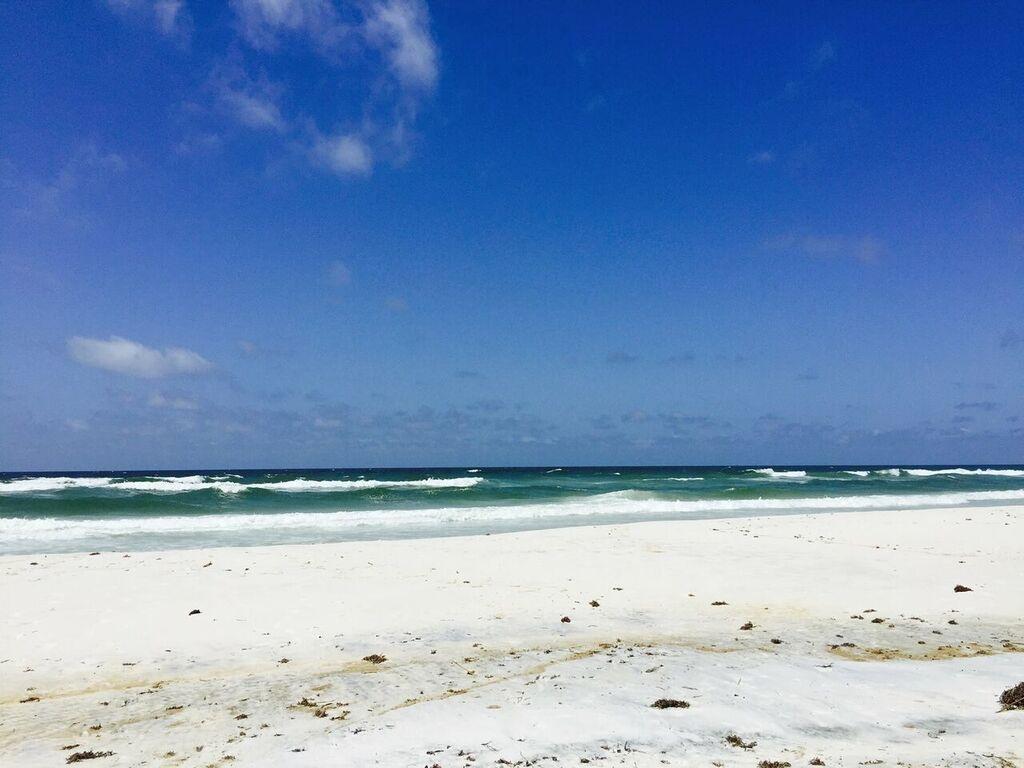 Tbd Lot 61 Tbd Road Santa Rosa Beach, FL 32459 - Photo 8 of 12 Grayton
