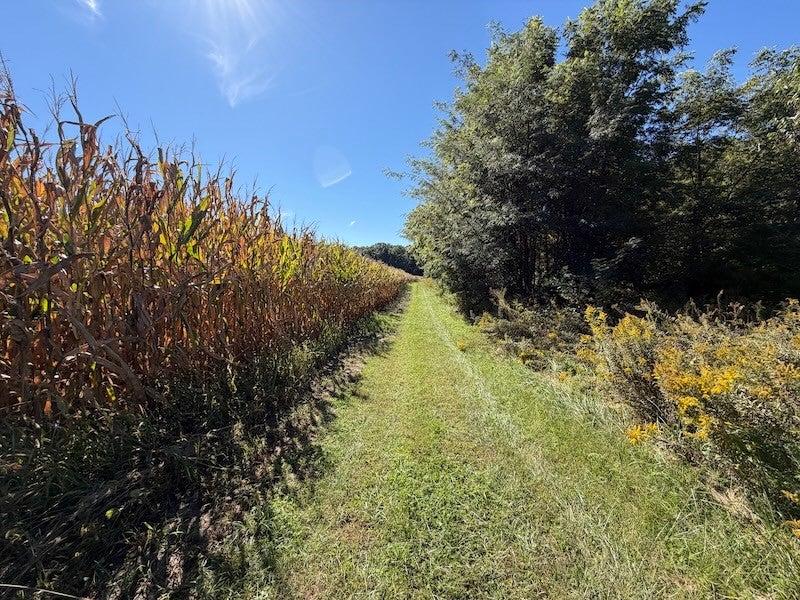 14207 200 East Road Fithian, IL 61844 - Photo 99 of 100 Gallery Image 99