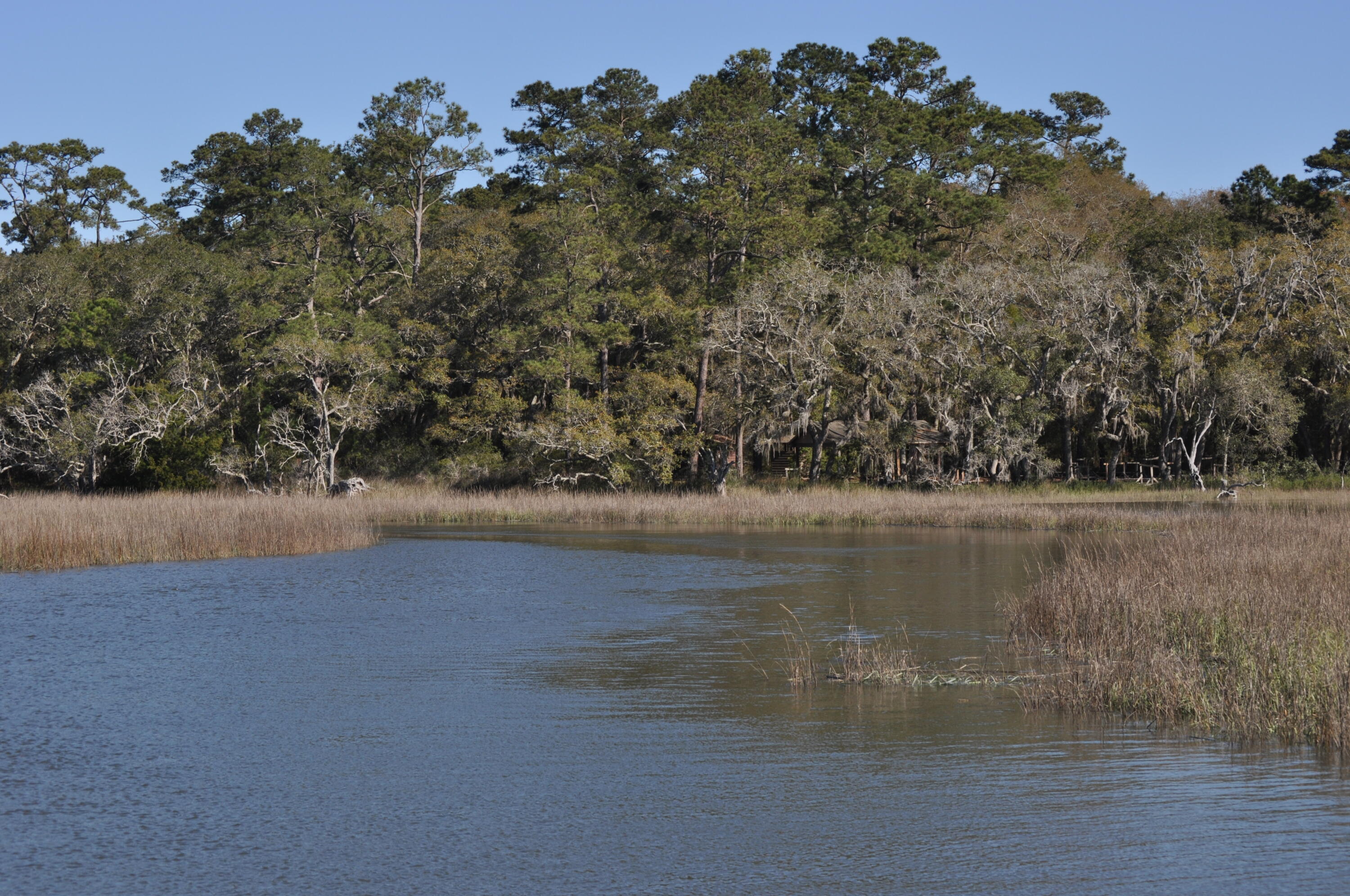 6652 Bloody Point Road Wadmalaw Island, SC 29487 - Photo 12 of 15 DSC_0015