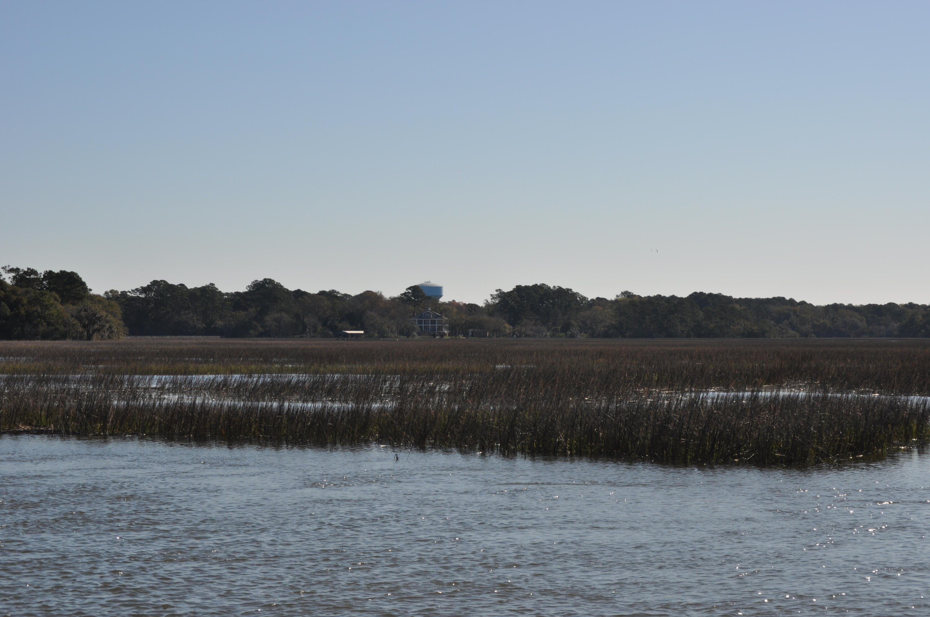 6652 Bloody Point Road Wadmalaw Island, SC 29487 - Photo 13 of 15 DSC_0016