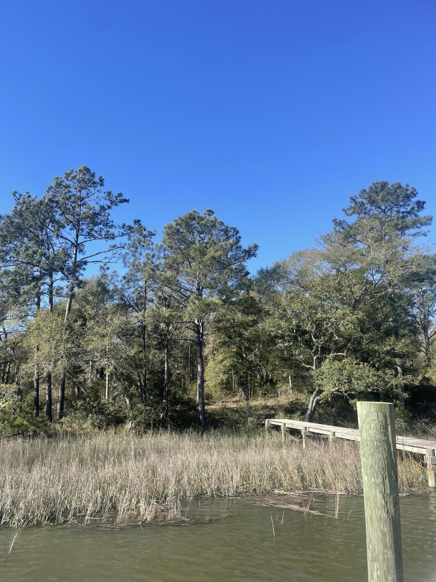 6652 Bloody Point Road Wadmalaw Island, SC 29487 - Photo 4 of 15 IMG_1316