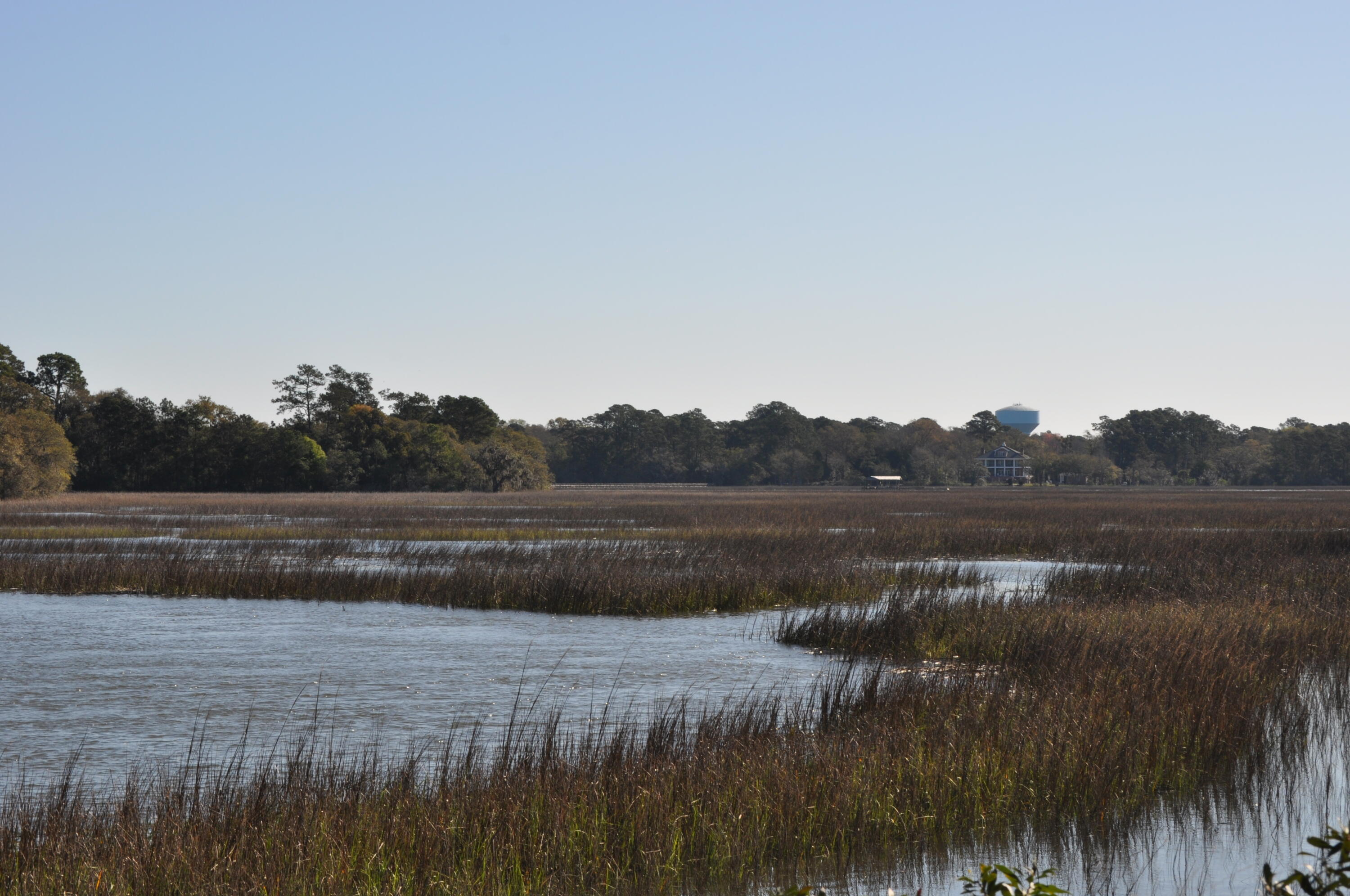 6652 Bloody Point Road Wadmalaw Island, SC 29487 - Photo 8 of 15 DSC_0011