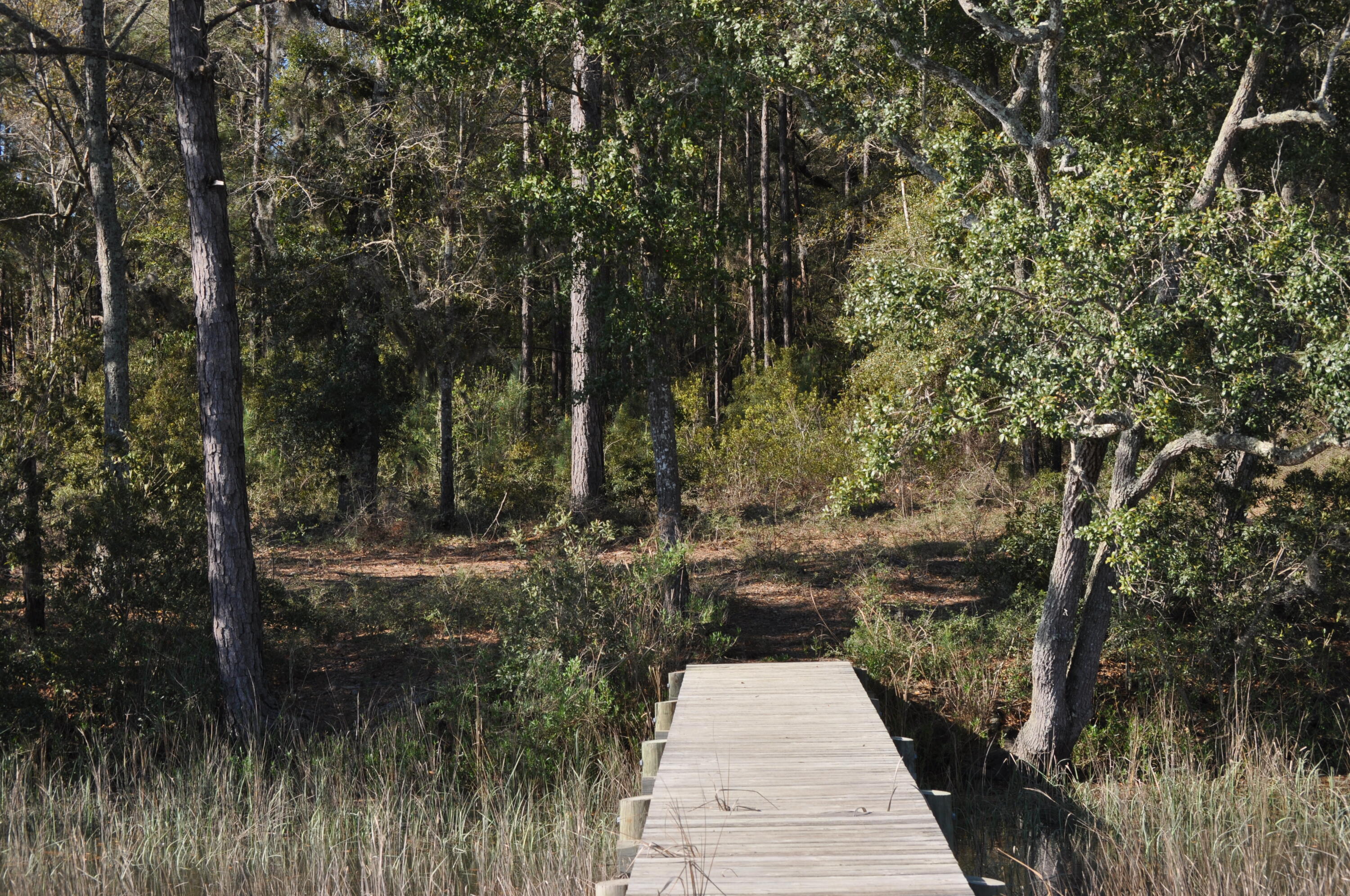 6652 Bloody Point Road Wadmalaw Island, SC 29487 - Photo 9 of 15 DSC_0012