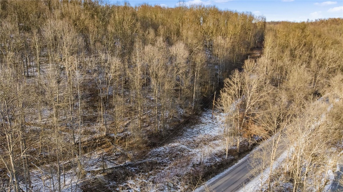 0 Skull Fork Road Freeport, OH 43973 - Photo 11 of 22 Gallery Image 11