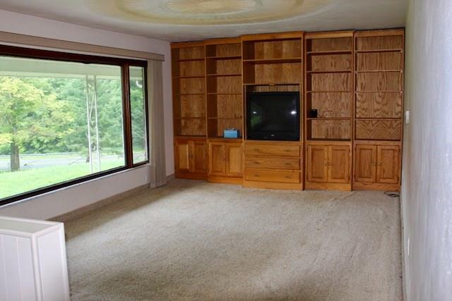 471 County Road Slickville, PA 15684 - Photo 2 of 25 Living Room with wall of storage and spacious picture window for an awesome view.