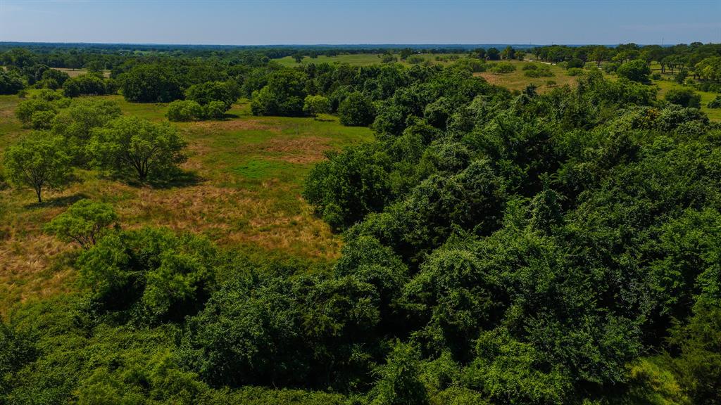 4360 County Road 4360 Decatur, TX 76234 - Photo 4 of 40