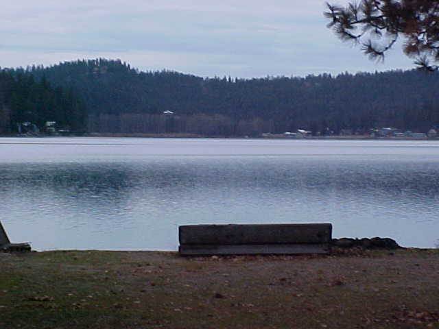 40347 Sunset Bay Road Loon Lake, WA 99148 - Photo 3 of 9 Gallery Image 3