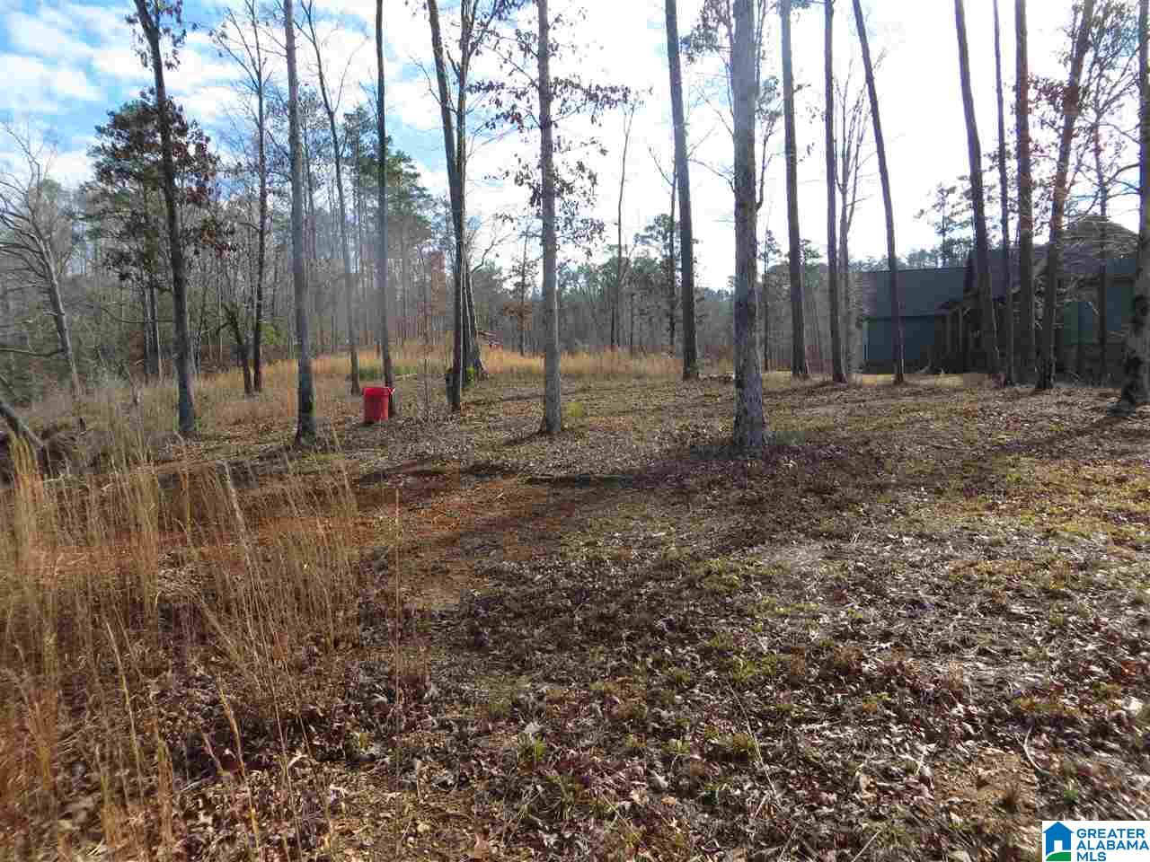Lot 9 Eagle Mountain Road, Unit 9 Alexander City, AL 35010 - Photo 10 of 13