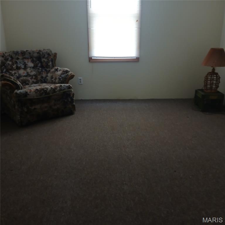 1 Stockton Lane Ironton, MO 63650 - Photo 5 of 7