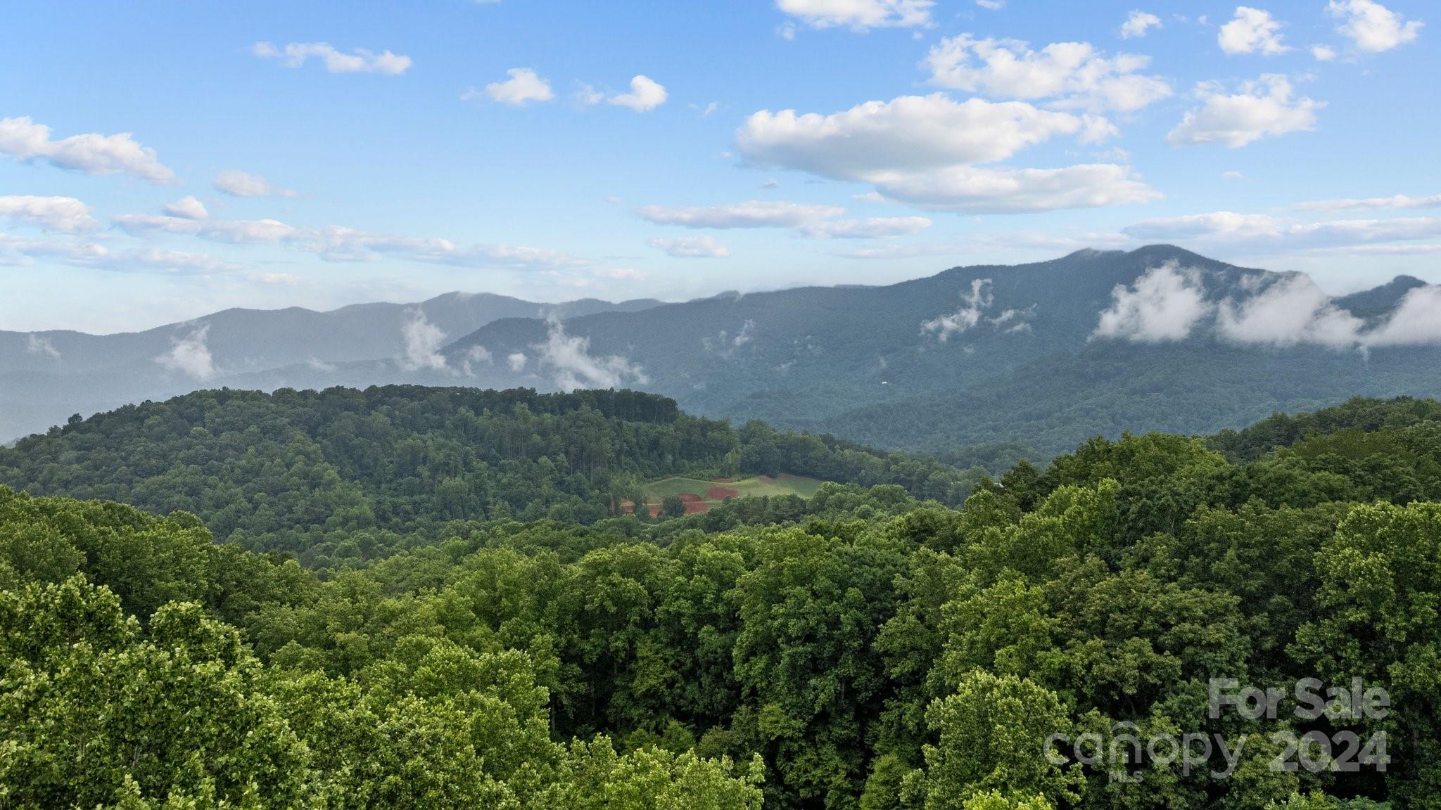2 Bonner Road Sylva, NC 28779 - Photo 8 of 34 Gallery Image 8