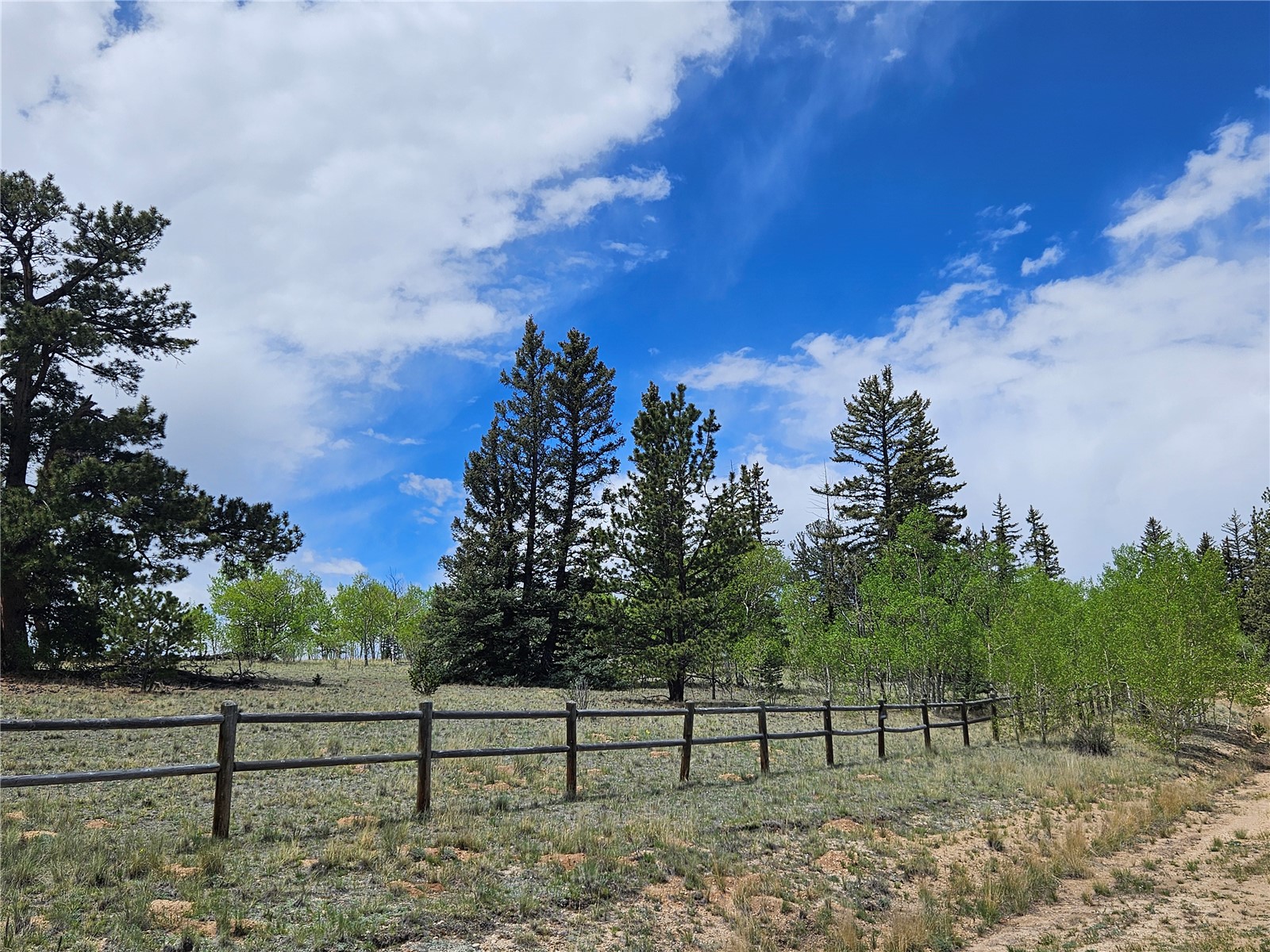 412 Smith And Wesson Road Como, CO 80432 - Photo 6 of 50