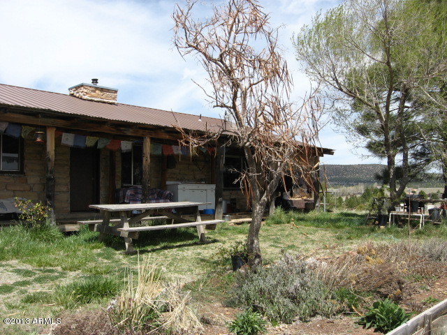 313 Zachariae Ranch Road Young, AZ 85554 - Photo 13 of 16 Back yard