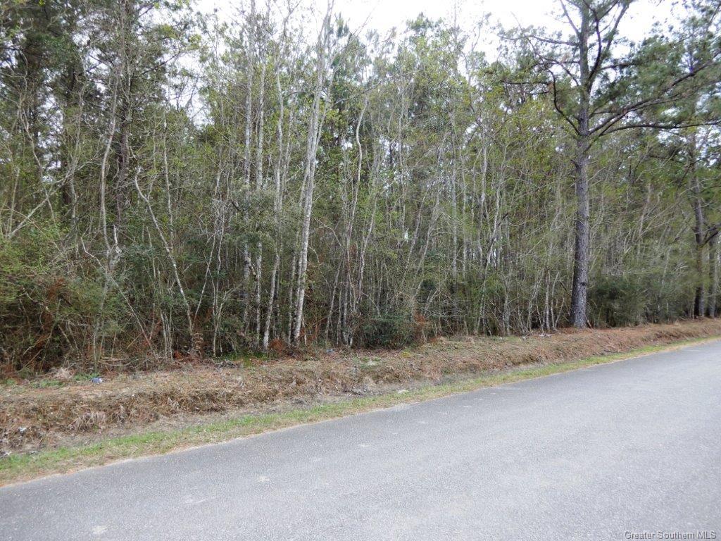 0 Radio Tower Road Leblanc, LA 70651 - Photo 4 of 7