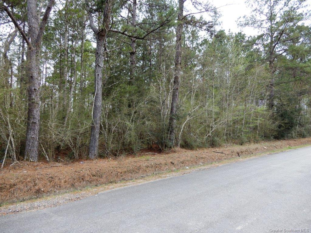 0 Radio Tower Road Leblanc, LA 70651 - Photo 5 of 7