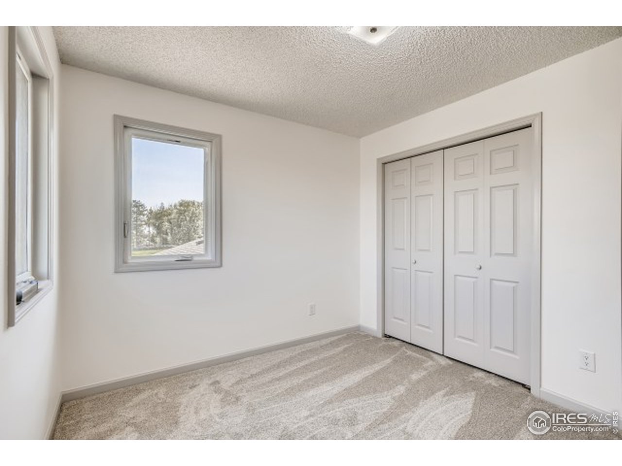13165 East County Line Road Longmont, CO 80504 - Photo 34 of 39 New carpet and doors.