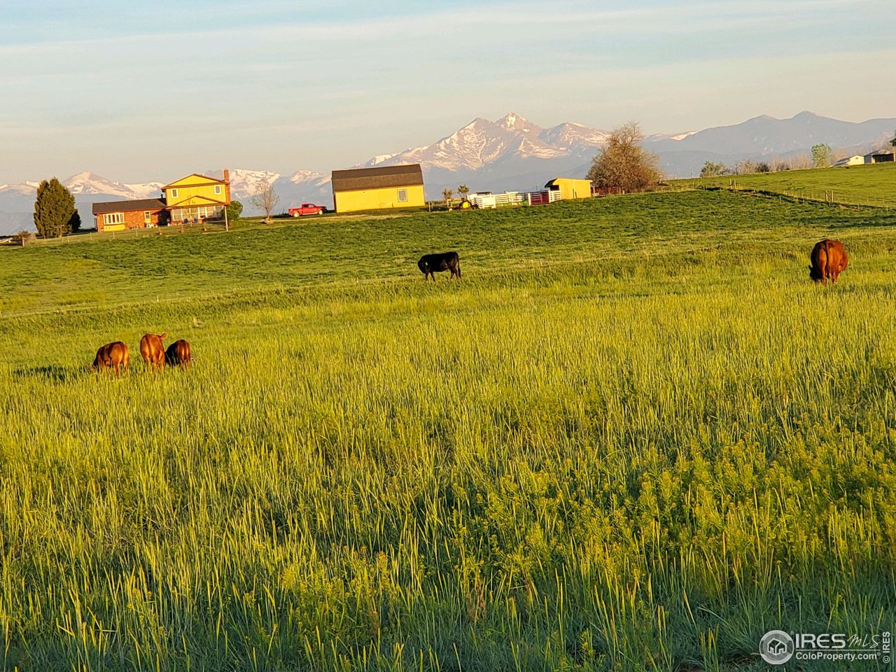13165 East County Line Road Longmont, CO 80504 - Photo 6 of 39 Amazing Views!
