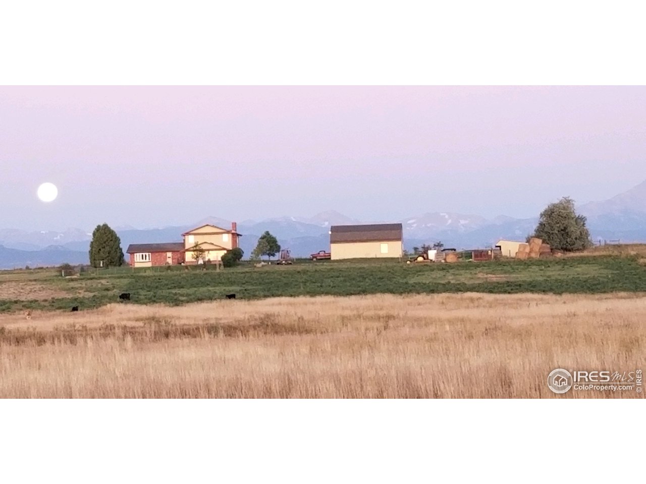13165 East County Line Road Longmont, CO 80504 - Photo 7 of 39 Hay Field