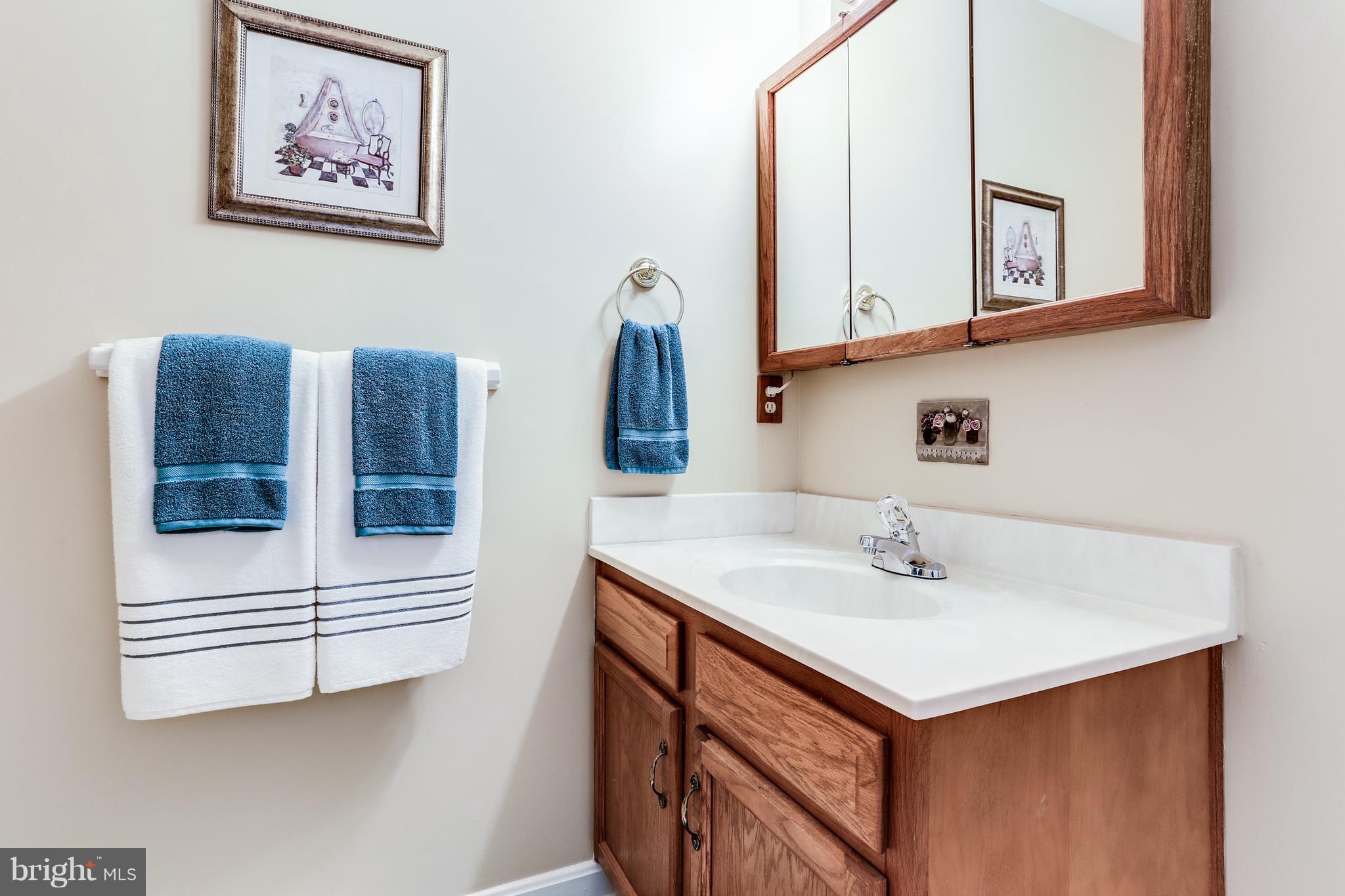 624 Wilmot Ridge Road Westminster, MD 21157 - Photo 22 of 30 Bath (Master)