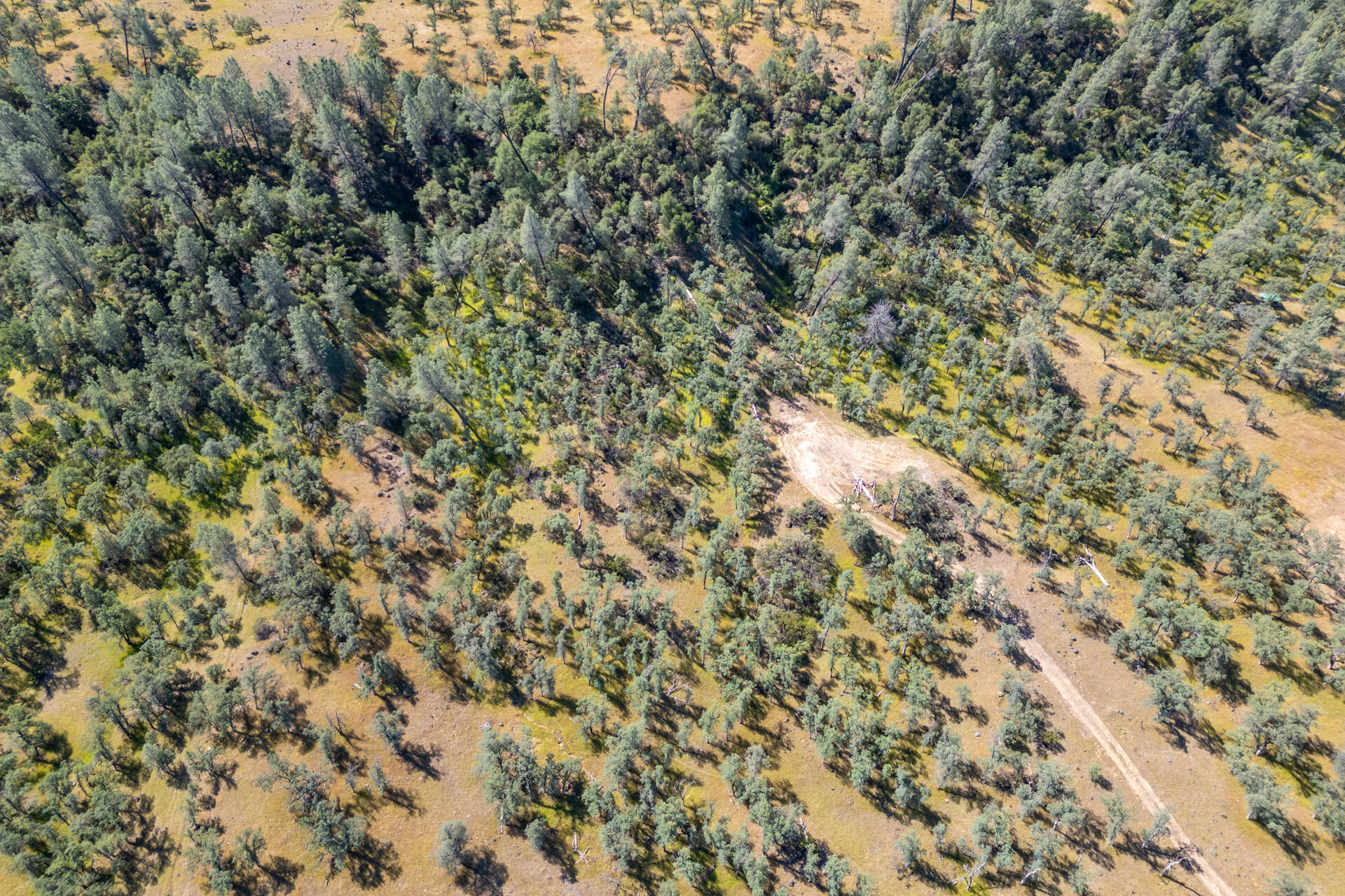 0 Racoon Way Oak Run, CA 96069 - Photo 30 of 39 DJI_0652-HDR
