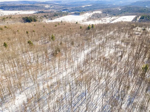 $329,000 | Hollenbeck Road, Worcester, NY 12197