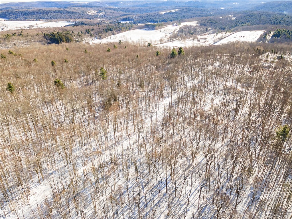 Hollenbeck Road Worcester, NY 12197 - Photo 11 of 24